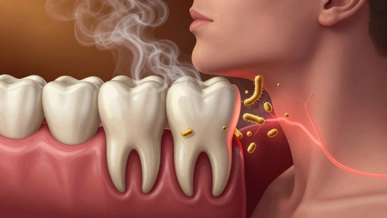 Symbolický obraz zubu moudrosti zakrytého dásními a šířícími se bakteriemi.